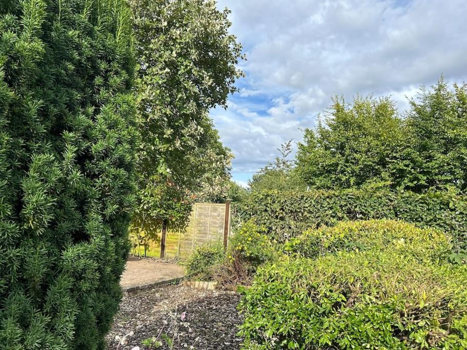 Whitwell-on-the-Hill Abacus Cottage מראה חיצוני תמונה
